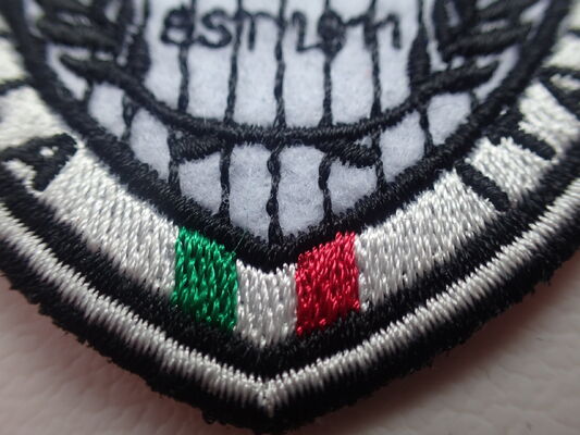 Grosir Patch Custom Brodery 3D Raised Logo Label Pakaian untuk penggunaan pakaian